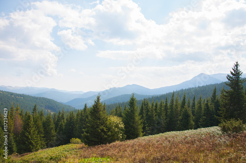 Vew from the mountain Hoverla, Ukraine landscape