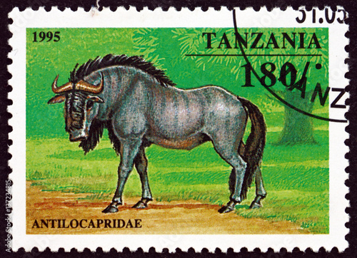 Postage stamp Tanzania 1995 Antilocapridae photo