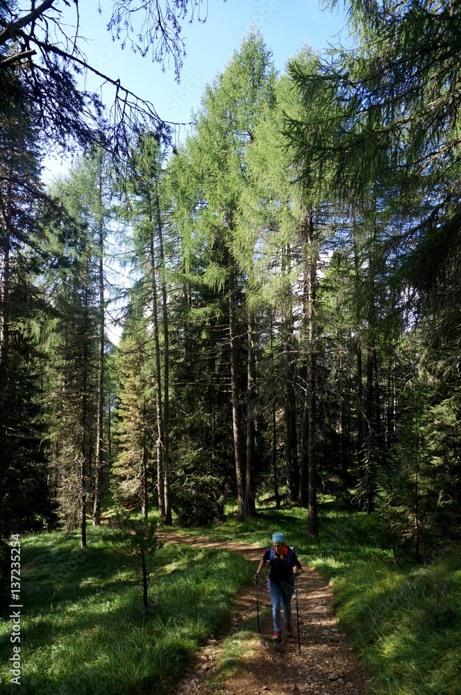 Wanderin unterwegs bergauf in Wald Wanderin unterwegs bergauf in Wald