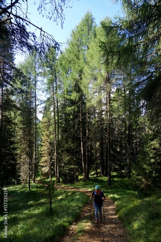 Wanderin unterwegs bergauf in Wald © grahof_photo