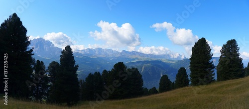 Panorama Wiese und Bäume und Aussicht auf Seiser Alm