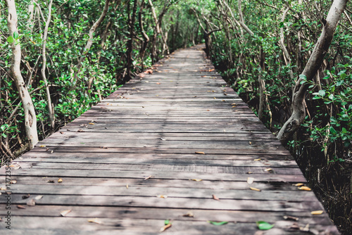 Tree tunnel, Wooden Bridge In Mangrove Forest © nipastock