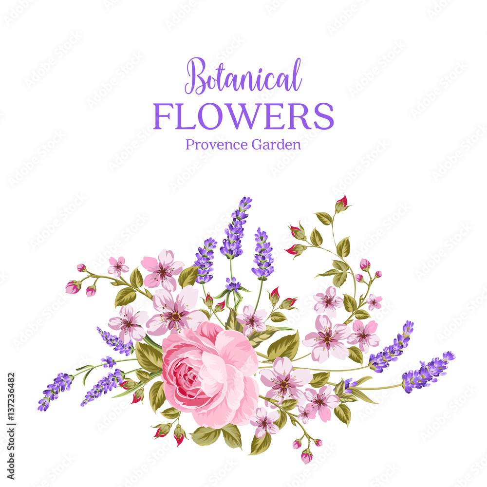 Botanical flowers garland. The sign Provence Garden over white background with rose and lavender. Spring flowers. Floral card on the white background. Vector illustration.