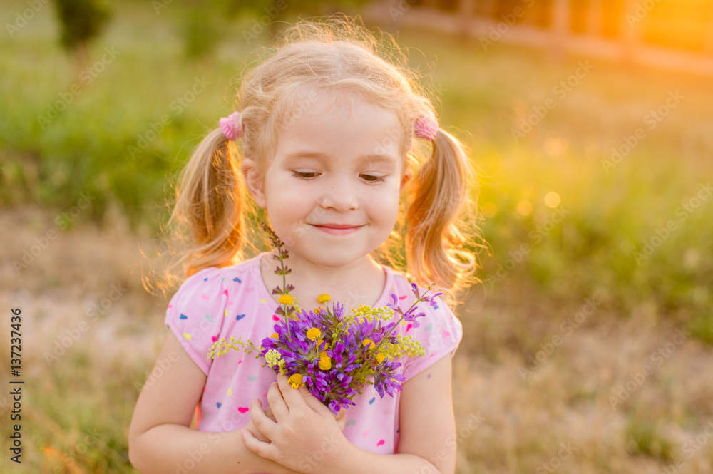 Beautiful little girl picking flowers in a meadow