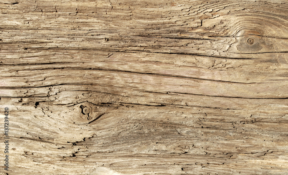 Naklejka premium Altes Treibholz / Holz aus Eiszeitsee, Textfreiraum, Hintergrund, Textur 