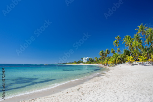 Tropical sand Beach on the Caribbean sea. Clear blue sea and high palm trees 