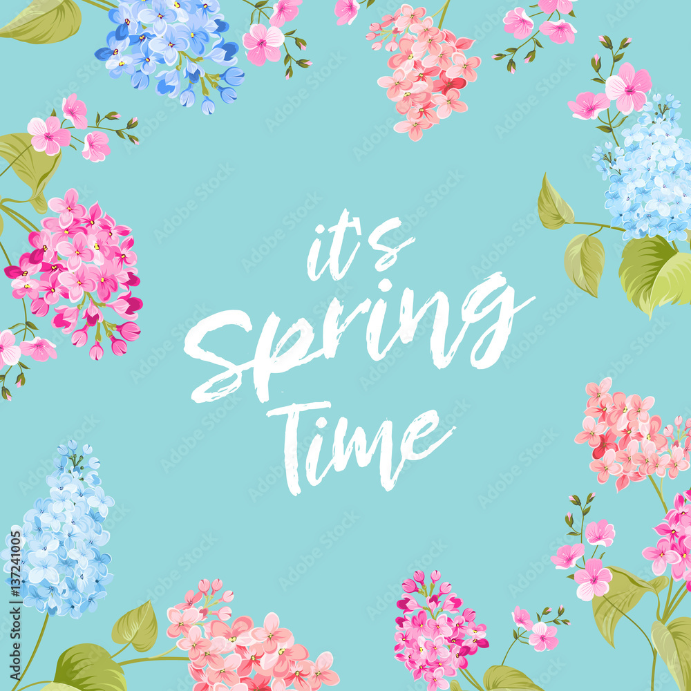 Spring time concept of card with blooming flowers isolated over blue background. Vector illustration.