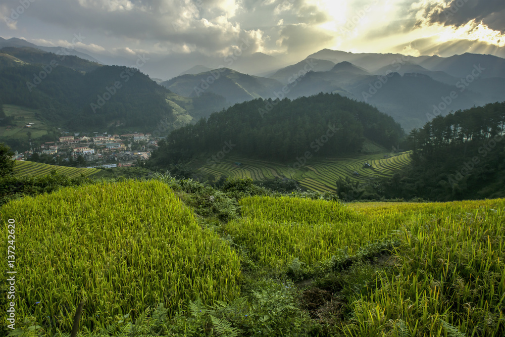 Beautiful rice terraces Vietnam