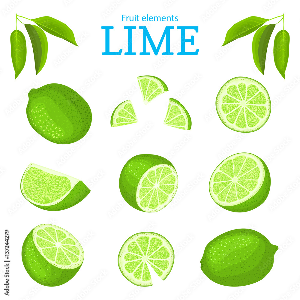 Vector set of ripe tropical limes fruits. Lime fruit peeled, piece of half slice. Collection of delicious green lemon designer elements appetizing looking for packaging of juice breakfast halth food