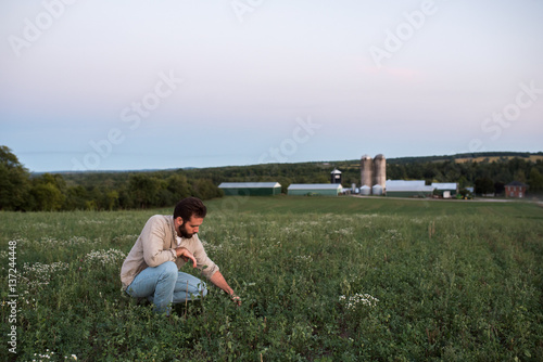 Farmer in field tending to crops photo