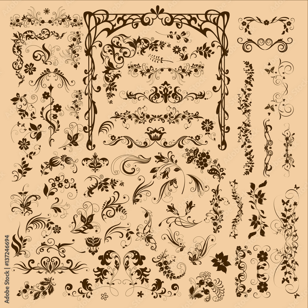 floral ornament elements collection floral ornament elements collection