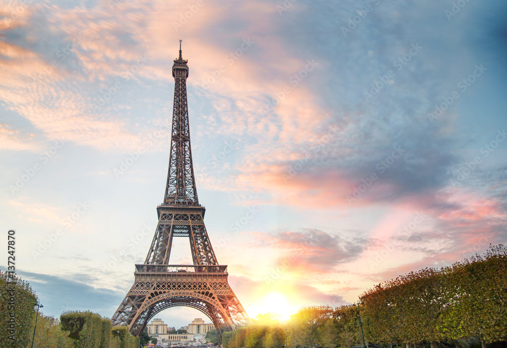 View on Eiffel tower through green summer trees with sunset rays. Beautiful Romantic background. Eiffel Tower from Champ de Mars, Paris, France.