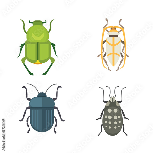 Set of insects flat style vector design icons. Collection nature beetle and zoology cartoon illustration. Bug icon wildlife concept