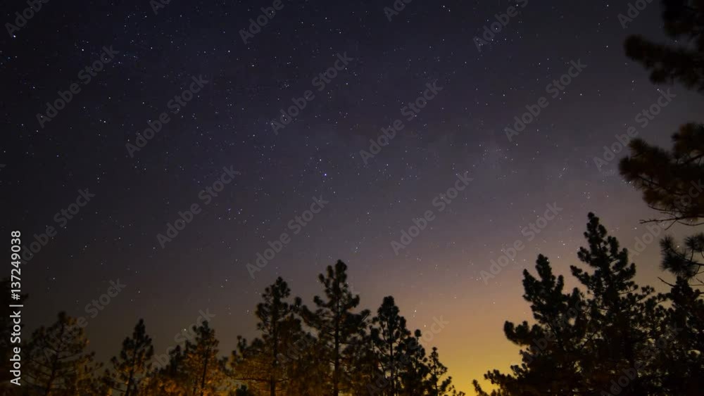 Astro Timelapse of Starry Sky & Moonrise over Forest Campground -Zoom Out- Astro Timelapse of Starry Sky & Moonrise over Forest Campground -Zoom Out-