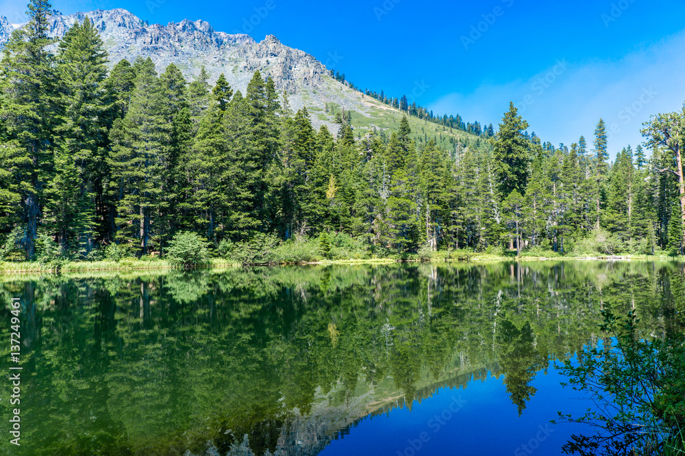 Tahoe Pond