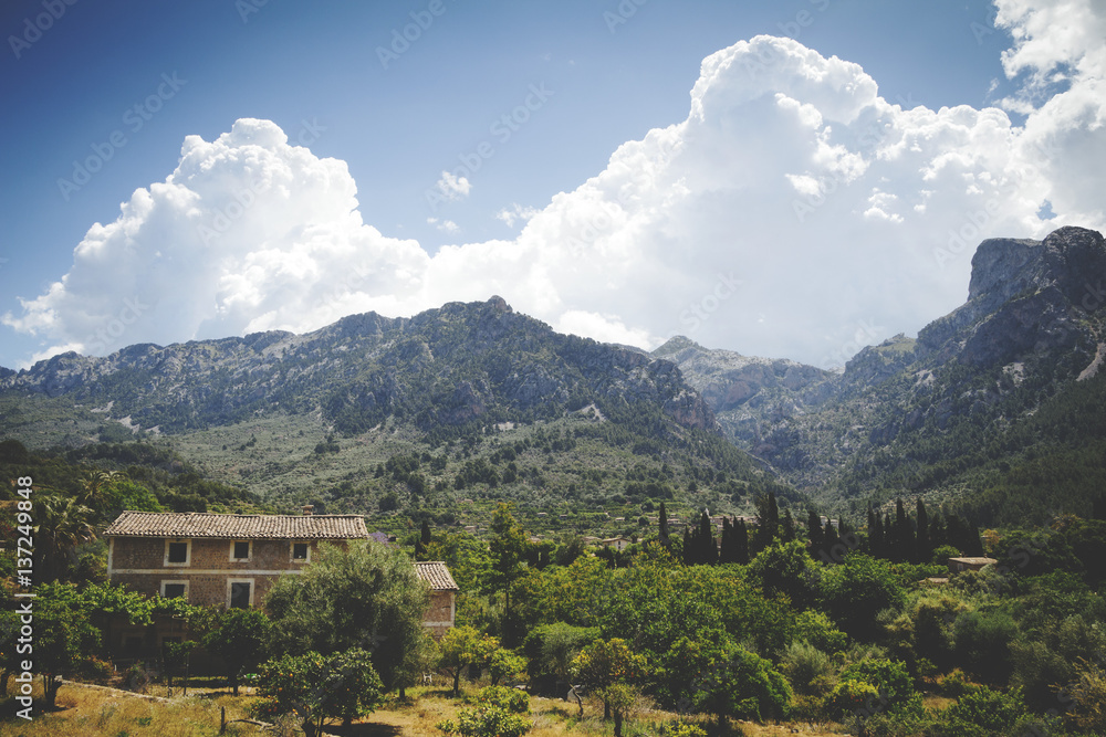 Obraz premium Valley