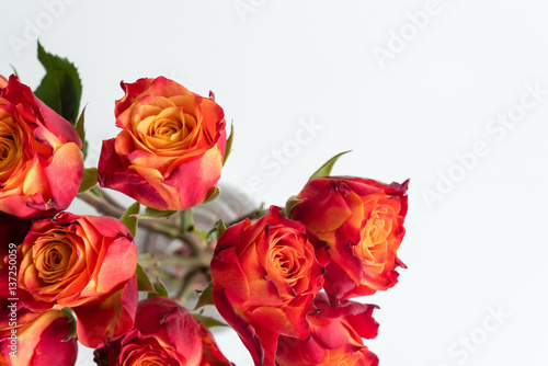 High angle view of red and orange roses in glass vase on white table  selective focus 