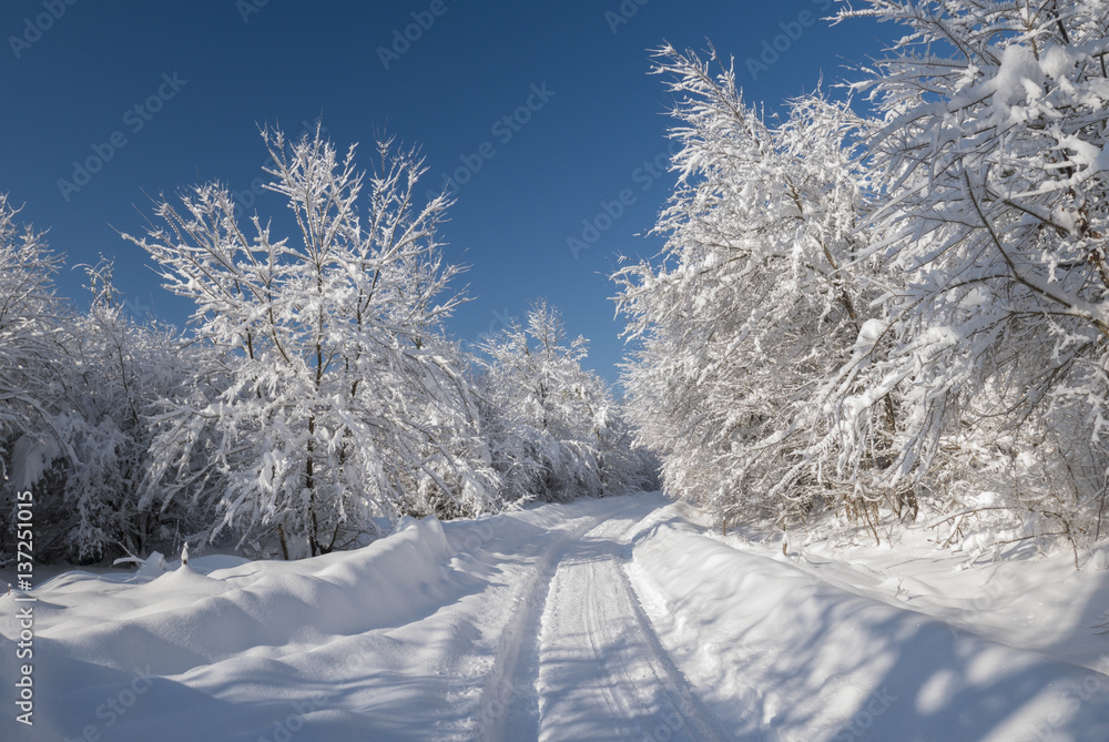 Obraz premium Winter tunnel