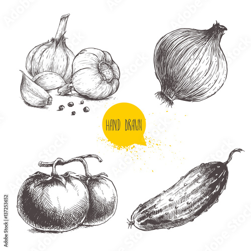 Hand drawn sketch style vegetables set. Tomatoes, onion, cucumber and garlics with pepper. Vintage fresh farm market food illustration. photo