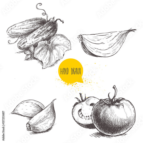 Hand drawn sketch style vegetables set. Ripe tomatoes, onion slice, cucumbers with leaf and garlic. Vintage fresh farm market food illustration.