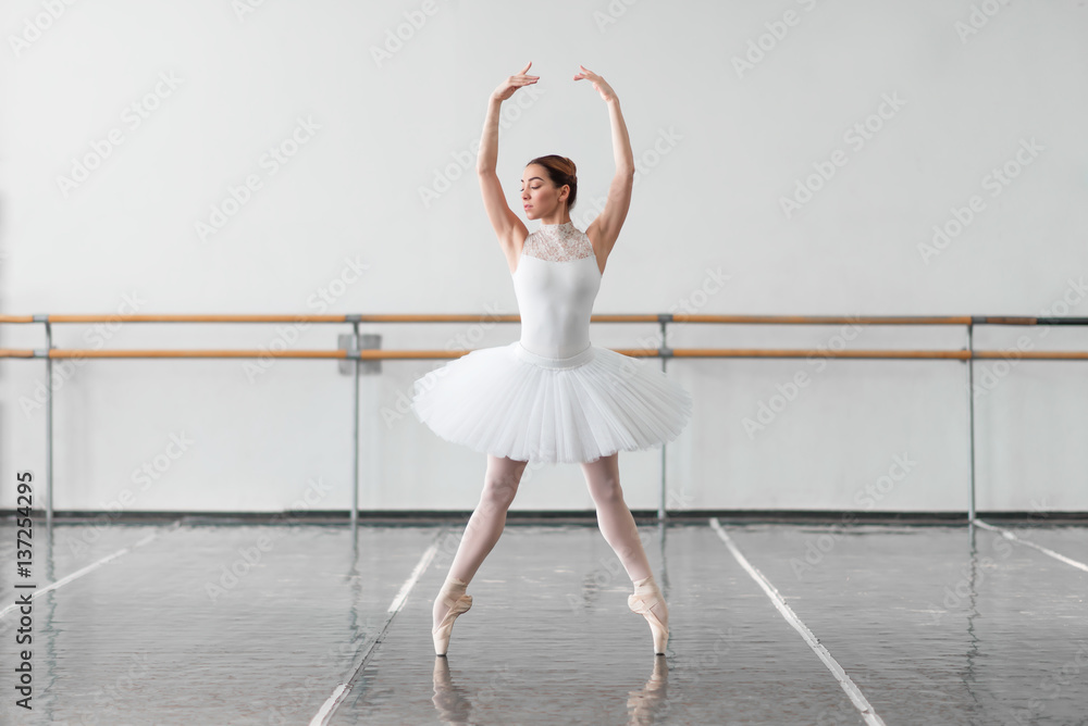 Naklejka premium Beautiful female ballet dancer in class