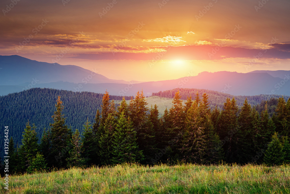 Beautiful summer mountain landscape. Dramatic scene. Carpathian,