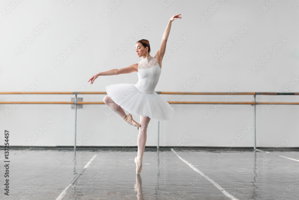 Beautiful female ballet dancer in class