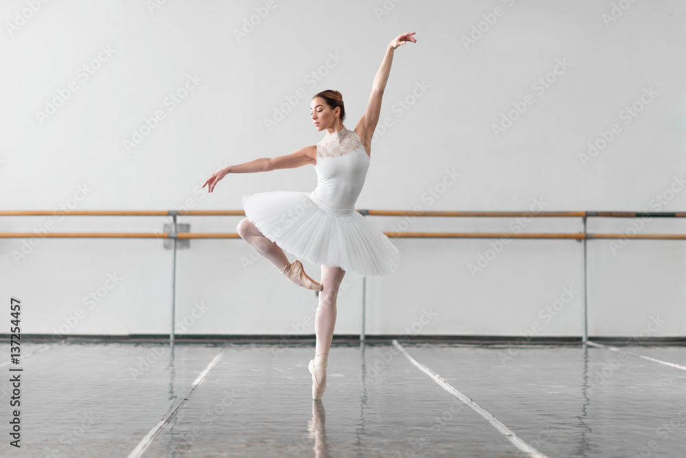 Fototapeta premium Beautiful female ballet dancer in class