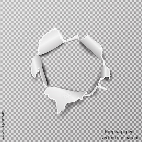 Torn paper realistic, hole in the sheet of paper on a transparent background. Vector illustration