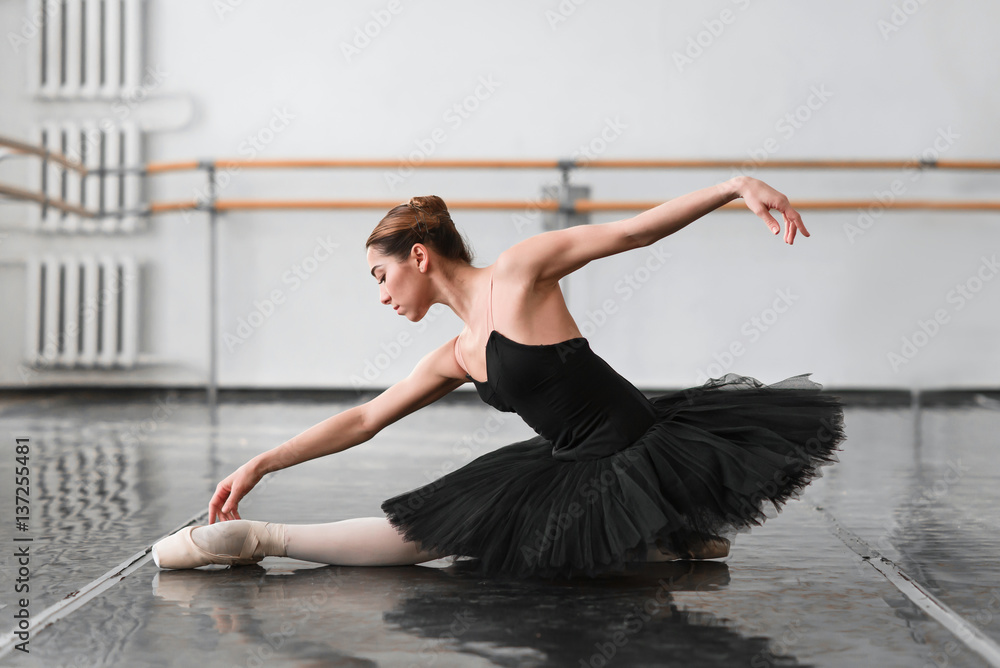 Fototapeta premium Female ballet dancer posin on rehearsal