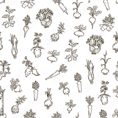 Seamless pattern - root vegetables