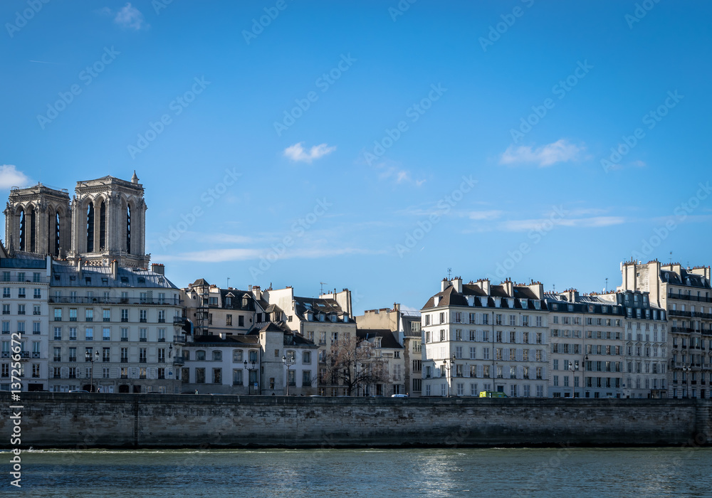 Fototapeta premium notre dame de paris