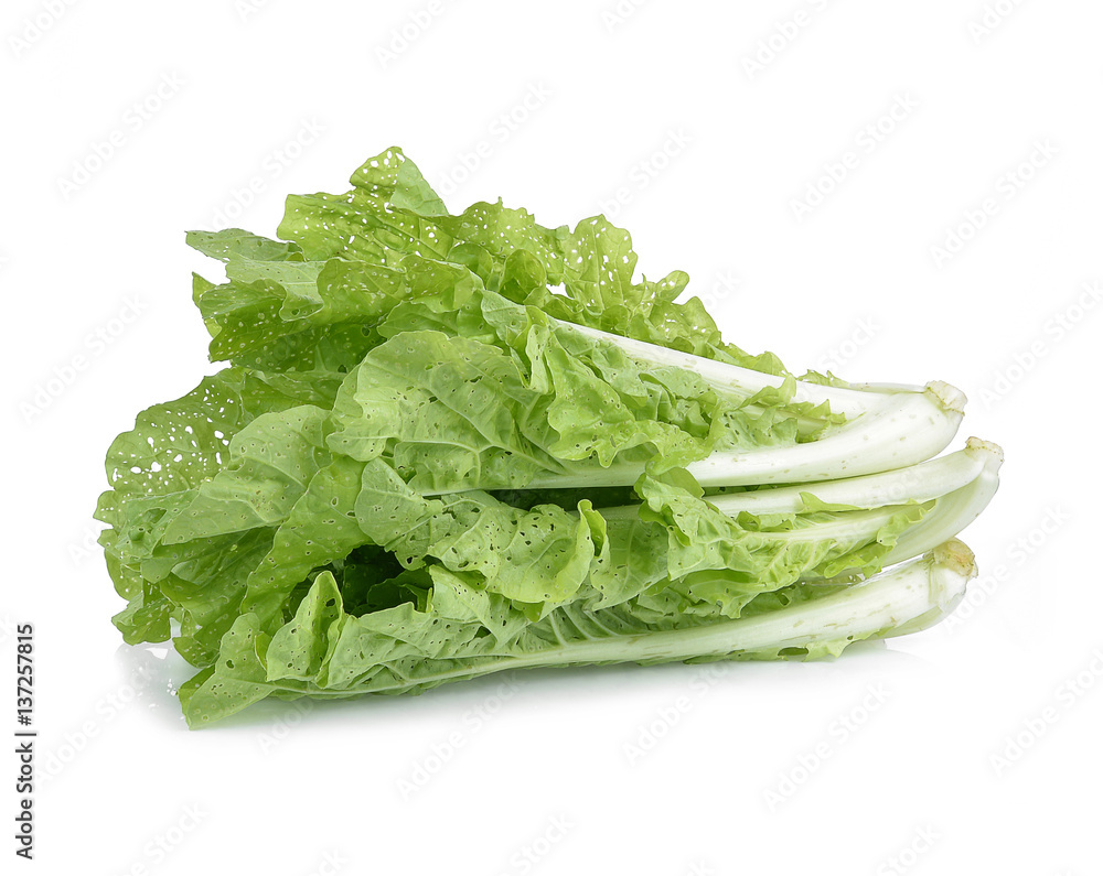 fresh green lettuce leaves isolated on white fresh green lettuce leaves isolated on white