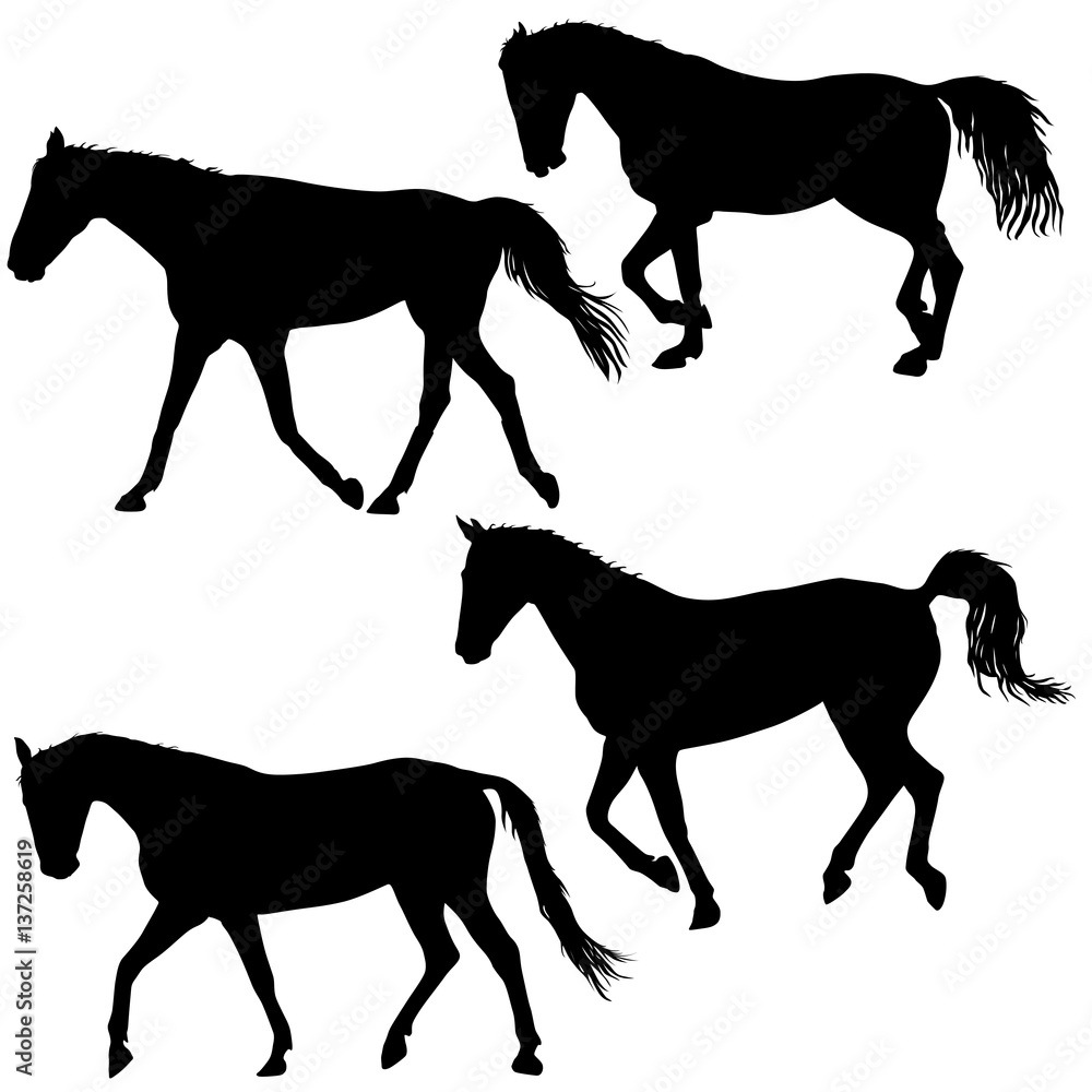 Set silhouette of black mustang horse vector illustration Set silhouette of black mustang horse vector illustration