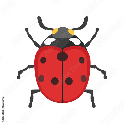 Insect ladybug icon flat isolated vector illustration. © Vectorvstocker