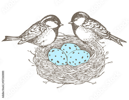 Birds, flowers, nest, eggs, 