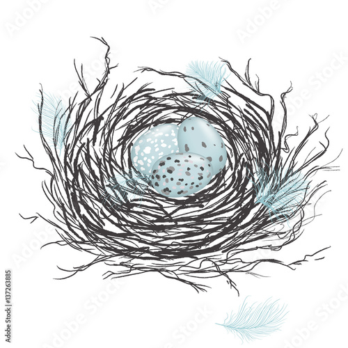 Papier peint Nest with eggs and feathers