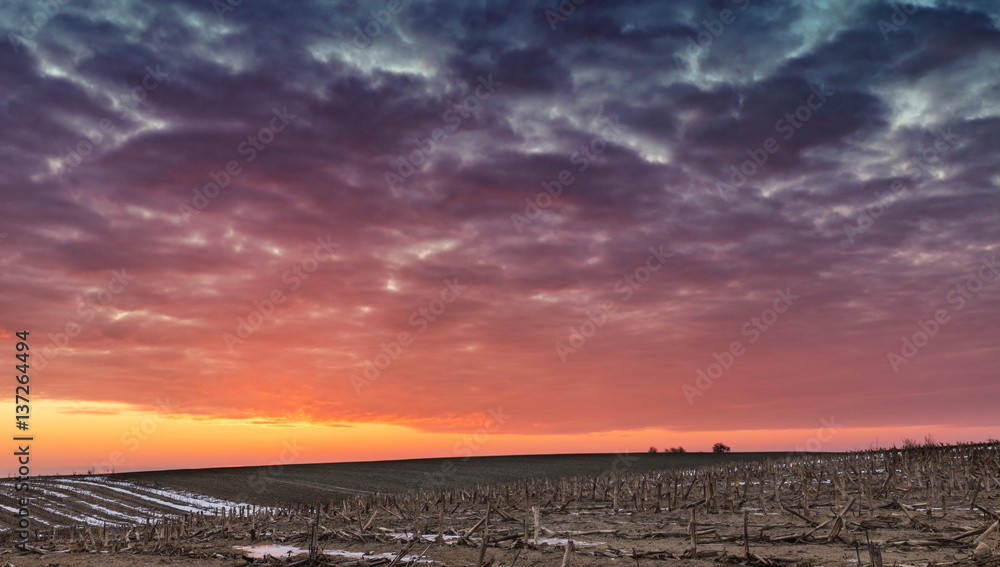 Naklejka premium Colorful Sunrise Clouds over Hilly Farming Fields at Winter