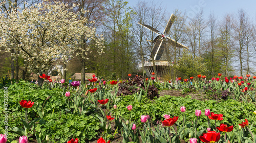 Wind Mill in Dutch public Spring flower Garden Keukenhof Lisse, Zuid Holland, NLD