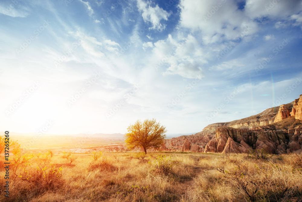 Fototapeta premium Fantastic sunrise over the Red Valley in Cappadocia, Anatolia, T
