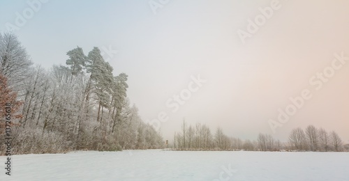 Winter foggy landscape in polish countryside