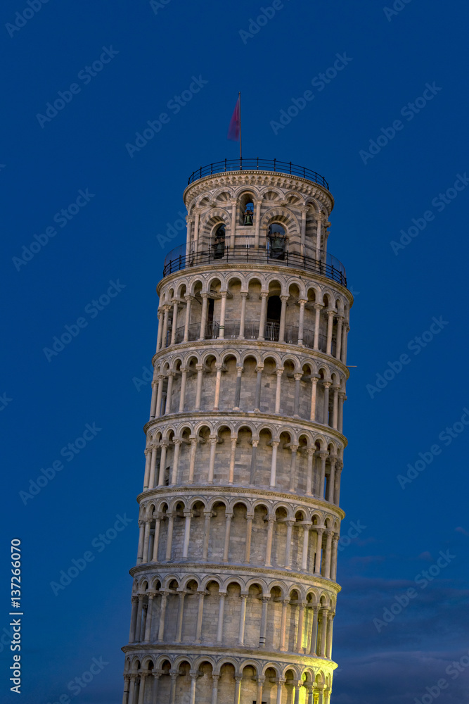 Campanile, Leaning Tower of Pisa, Pizza del Miracoli, Pisa, Province of Pisa, Tuscany, Italy, Europe