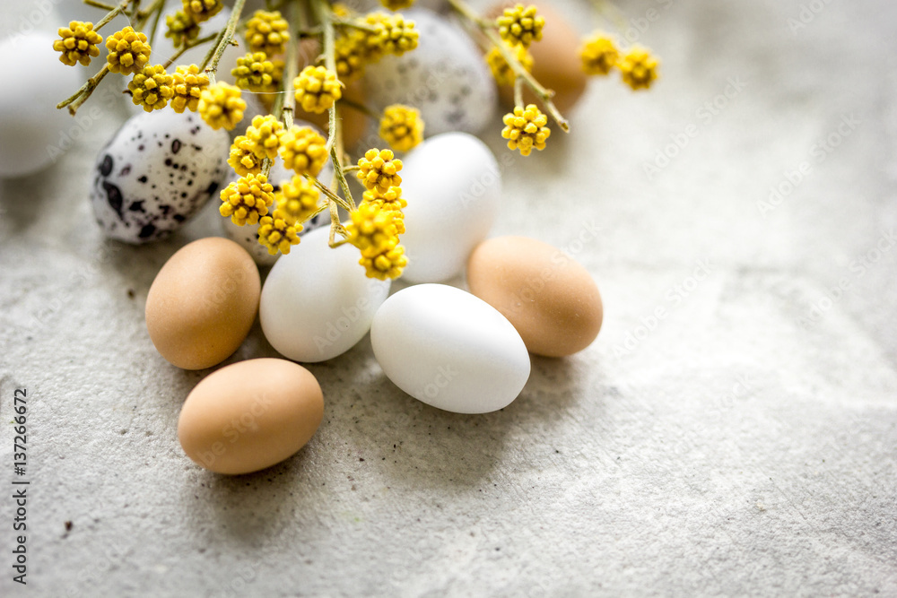 Easter set with eggs and flower on white background mock up