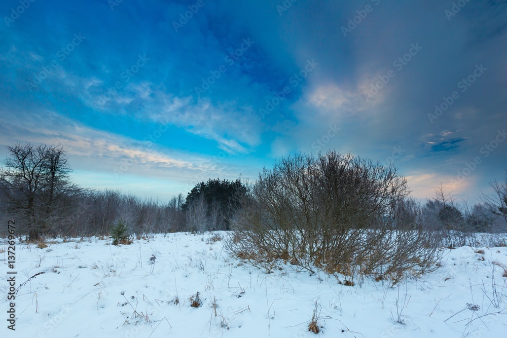 Polish typical winter rural landscape Polish typical winter rural landscape