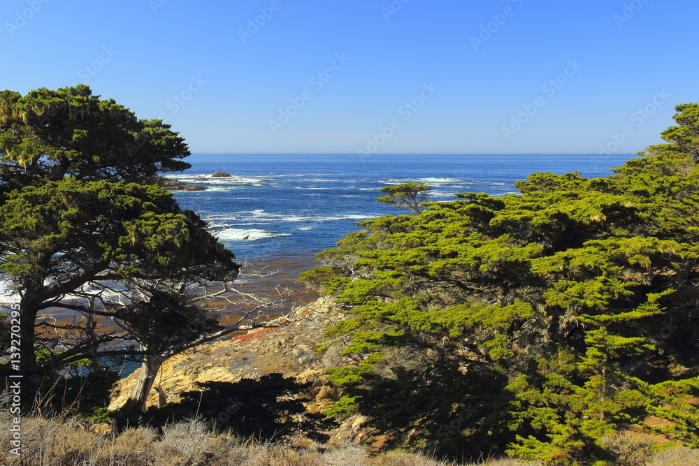 Fototapeta premium Nature