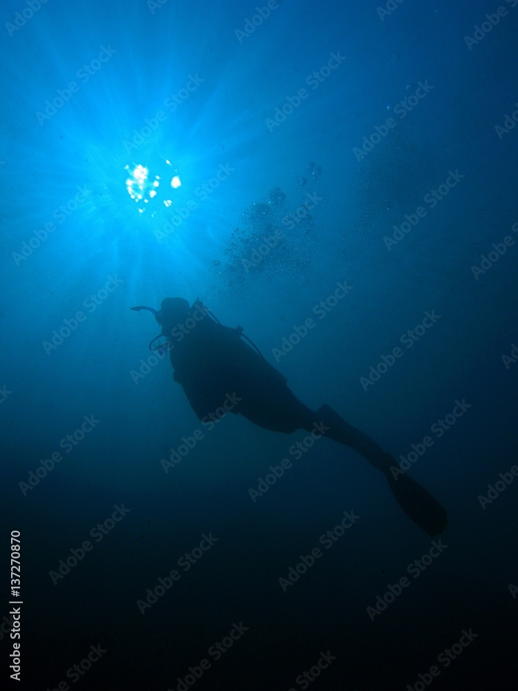 Diver in blue vertical / underwater shot, Red Sea Diver in blue vertical / underwater shot, Red Sea