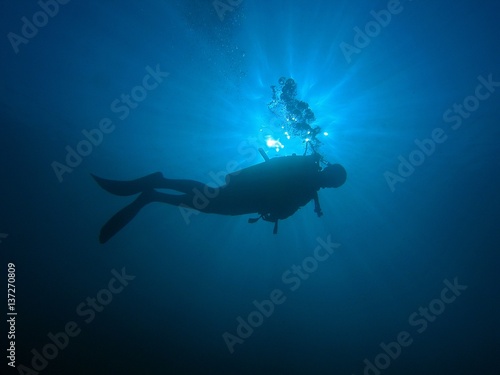 Diver in blue horizontal / underwater shot, Red Sea