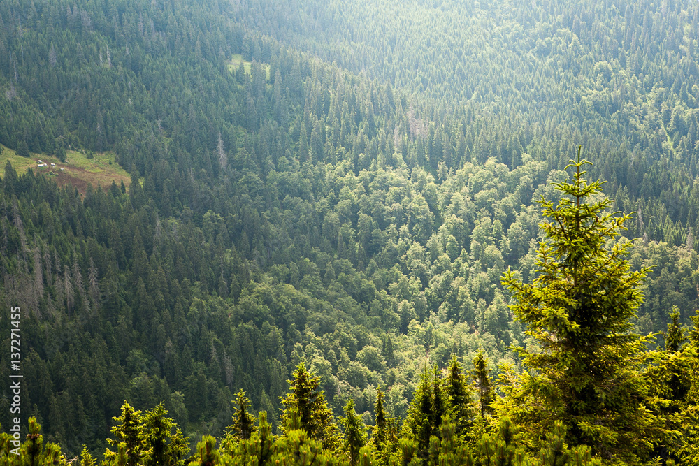 CARPATHIAN MOUNTAINS CARPATHIAN MOUNTAINS