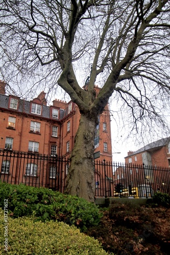 Photography St. Patrick’s Park in Dublin - winter