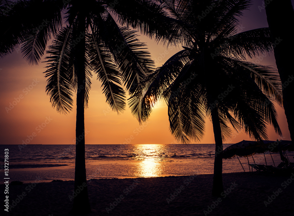 Silhouette of coconut tree at the beach